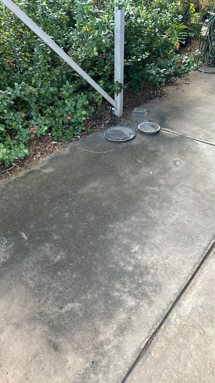 Concrete walkway before pressure washing