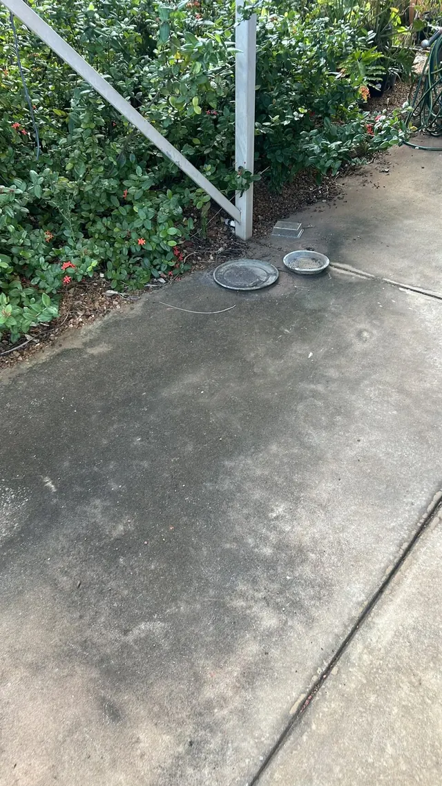 Under-house walkway before pressure washing
